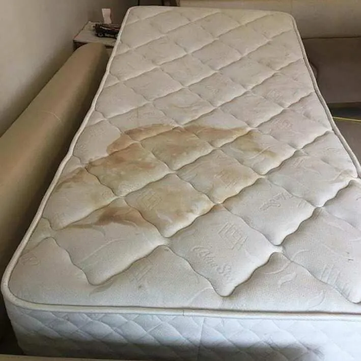 Mašinsko dubinsko pranje nameštaja Beograd