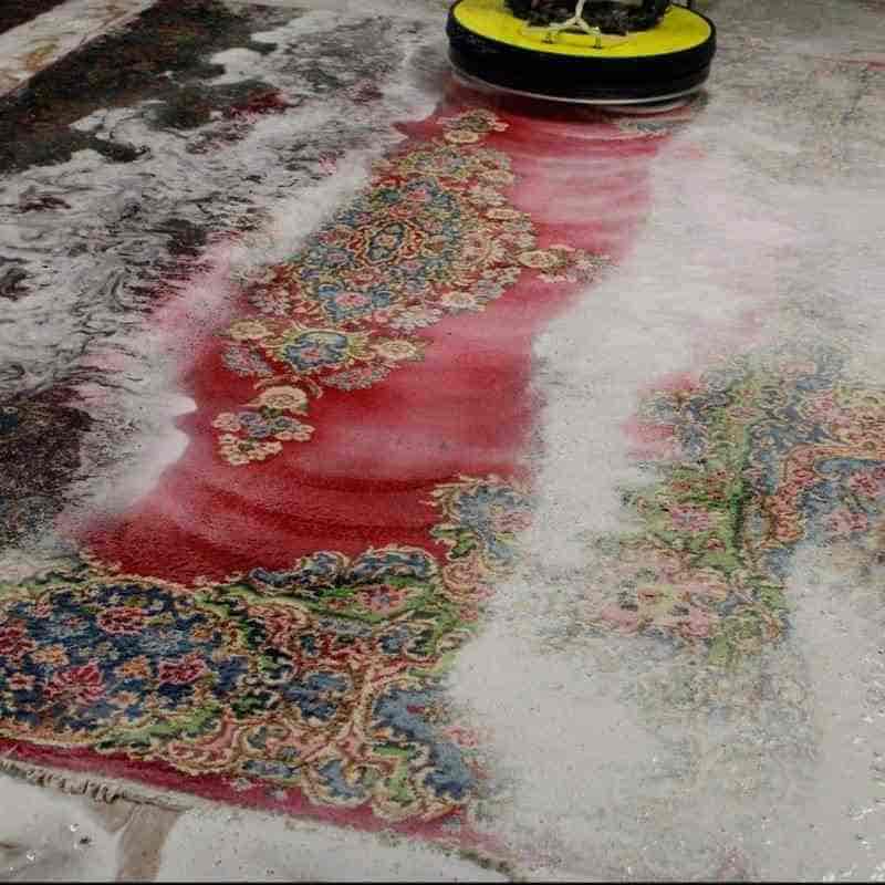 Pranje crvenog perzijskog tepiha rotacionom četkom uz penu